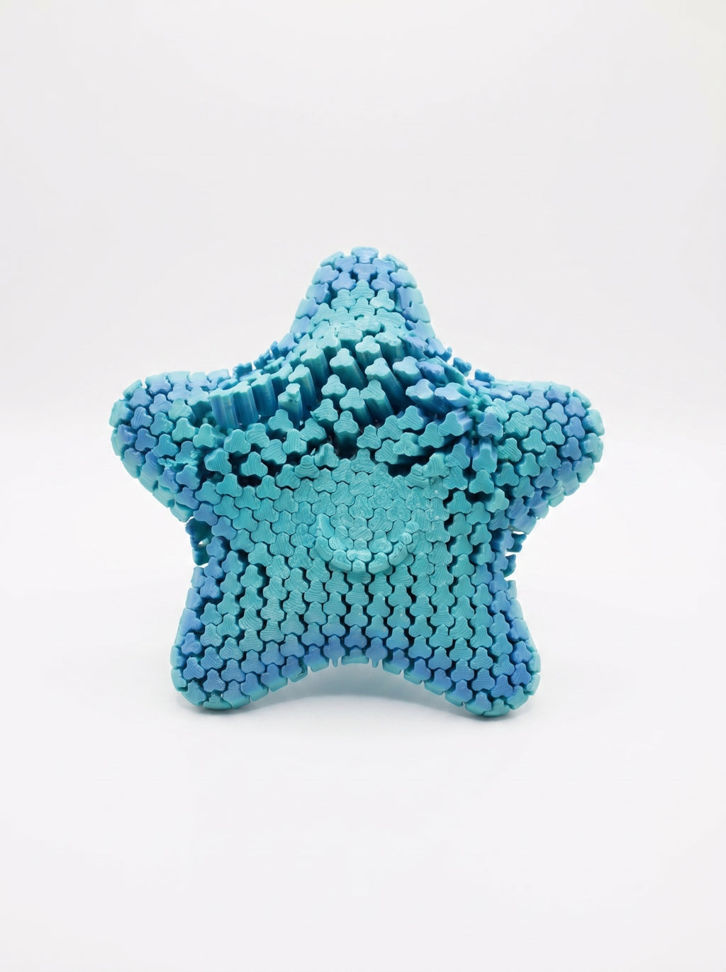 Starfish Fidget — Estrela do Mar Anti-Stress | Flexível ao Toque