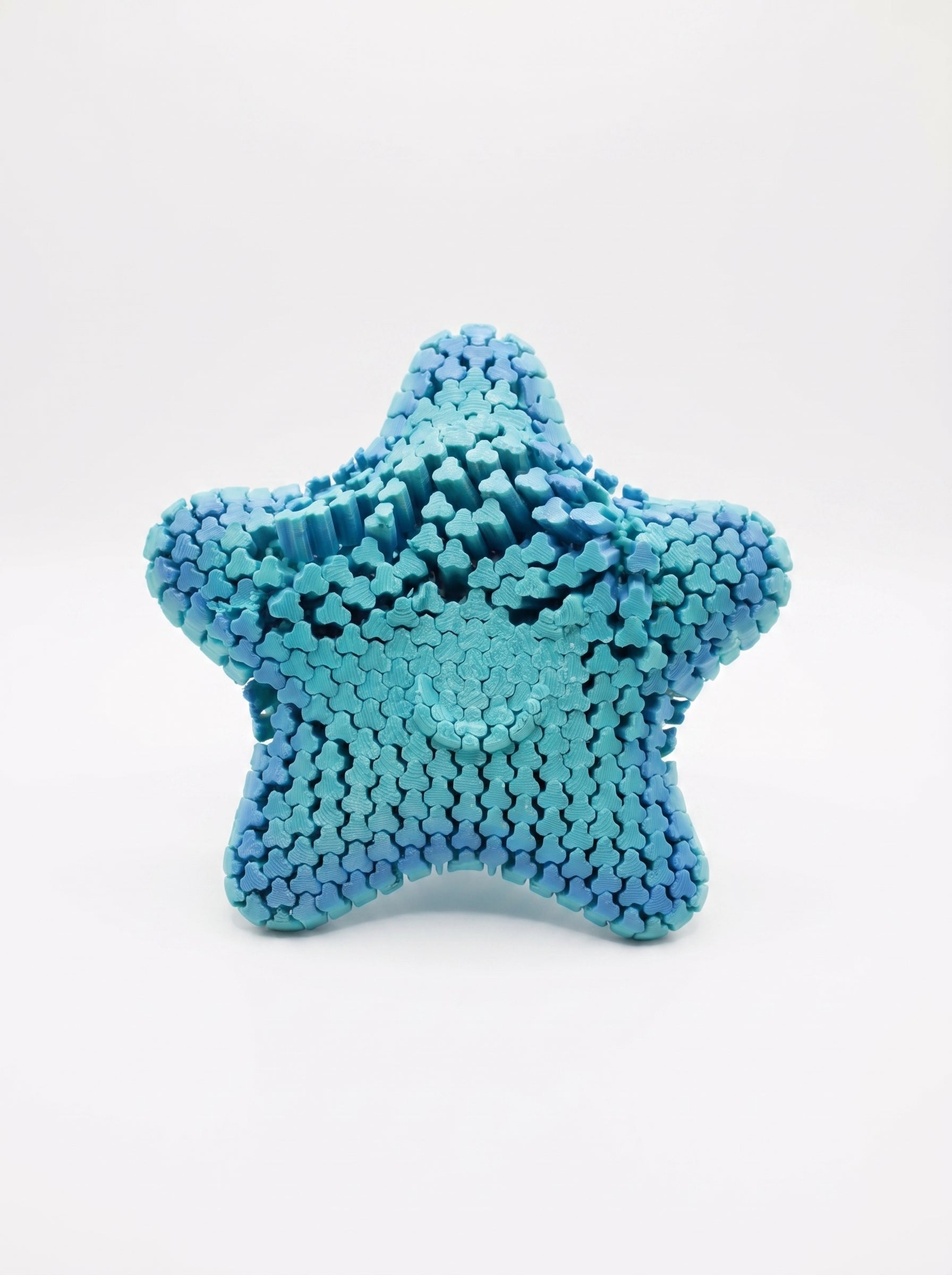 Starfish Fidget — Estrela do Mar Anti-Stress | Flexível ao Toque
