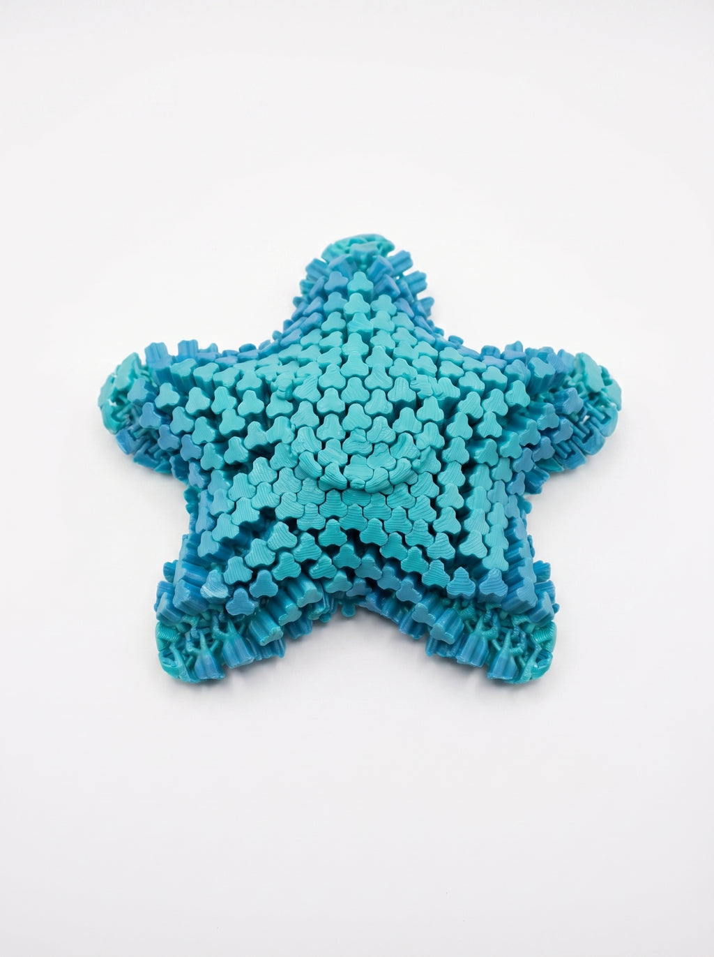 Starfish Fidget — Estrela do Mar Anti-Stress | Flexível ao Toque